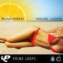 Sunkissed House Loops (Multi-Format)