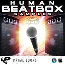 Human Beatbox Samples Pro (Multi-Format)