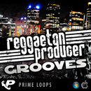 Reggaeton Producer Grooves (Multi-Format)