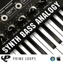 Synth Bass Analogy (Multi-Format)