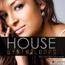House Synth Loops Vol 2