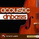 Acoustic DNBass