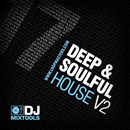 DJ Mixtools 17: Deep & Soulful House Vol 2