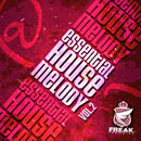 Essential House Melody Vol 2