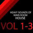 Heavy Sounds of Main Room House (Vols 1-3)