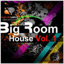 Big Room House Vol 1