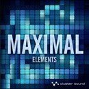Maximal Elements