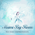Miami Big Room Vol 1