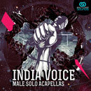 India Voice