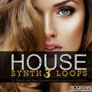House Synth Loops 3