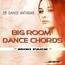 Big Room Dance Chords