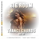 Big Room Trance Chords Vol 7
