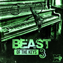 Beast Of The Keys 3