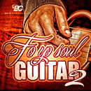 Fo Yo Soul Guitar 2