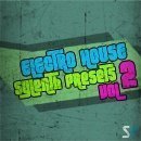 Electro House Sylenth Presets Vol 2