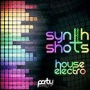 Designed Electro House Synth Shots Vol 1