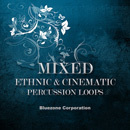 Mixed Ethnic & Cinematic Percussion Loops