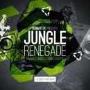 Dubmatix: Jungle Renegade