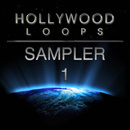 Hollywood Loops Sampler 1