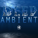 Deep Ambient