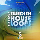 Swedish House Loops Big Pack 3