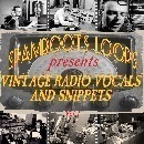 Vintage Radio Vocals & Snippets Vol 1