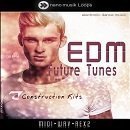 EDM: Future Tunes