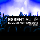 Essential Summer Anthems 2013
