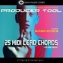 Producer Tool: MIDI Lead Chords