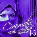 Cinematic Ethnic Orchestra Bundle (Vols 1-5)