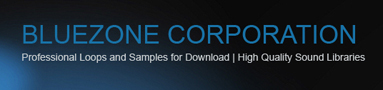 Bluezone Corporation