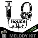 Designed House Addict 1