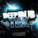 Deep Dub Tek
