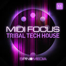 MIDI Focus: Tribal Tech House