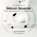 Silicon Sounds