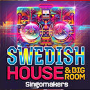 Swedish House & Big Room For NI Massive