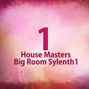 House Masters Big Room Sylenth1