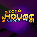 Micro House Vol 1