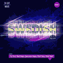 Swedish Big Room  Vol 1