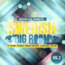 Swedish Big Room  Vol 2