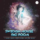 Swedish Big Room Vol 3