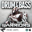 Drum & Bass Warriors