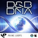 D&B DNA