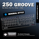 250 Grooves: Minimal Style