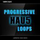Progressive Hau5 Loops