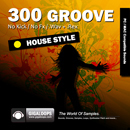 300 Grooves: House Style