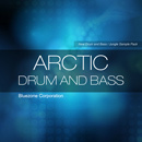 Arctic Drum and Bass