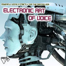 Electronic Art of Voice