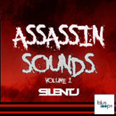 Assasin Sounds Vol 1