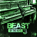 Beast Of The Keys 3